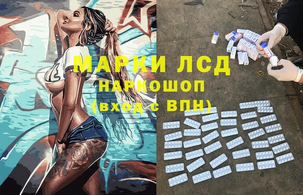 индика Алексин