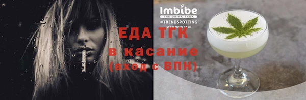 индика Алексин