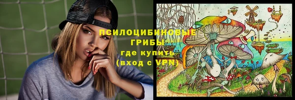 крисы Домодедово