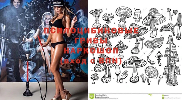 соль курить ск Алексеевка