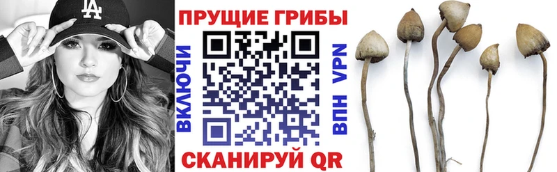 Галлюциногенные грибы мицелий  Арсеньев 