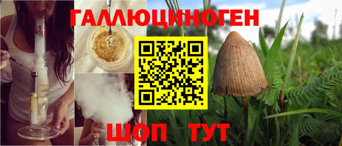 Псилоцибиновые грибы Psilocybine cubensis  Вход с VPN  Арсеньев 